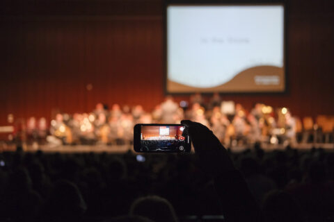Foto: S.Gottschalk